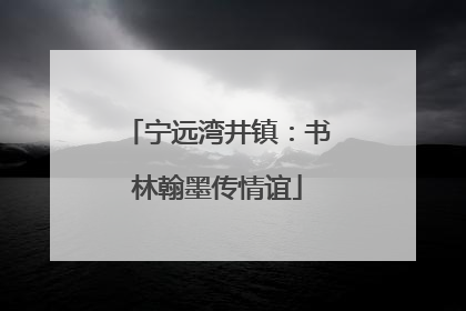 宁远湾井镇：书林翰墨传情谊