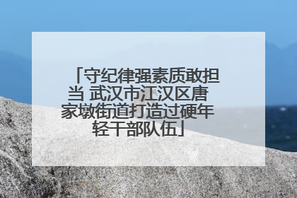 守纪律强素质敢担当 武汉市江汉区唐家墩街道打造过硬年轻干部队伍