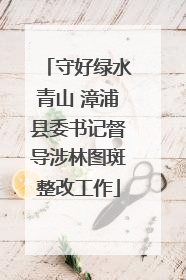 守好绿水青山 漳浦县委书记督导涉林图斑整改工作