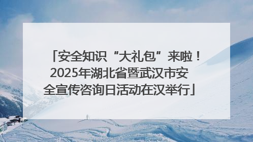 安全知识“大礼包”来啦！2025年湖北省暨武汉市安全宣传咨询日活动在汉举行