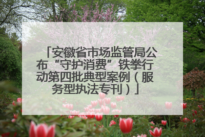 安徽省市场监管局公布“守护消费”铁拳行动第四批典型案例（服务型执法专刊）