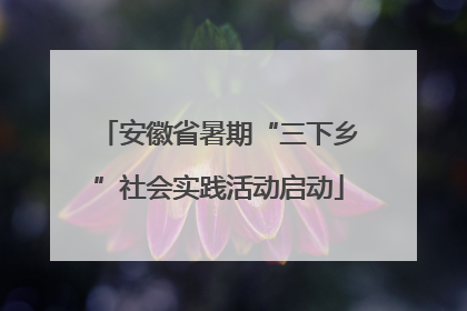 安徽省暑期“三下乡”社会实践活动启动