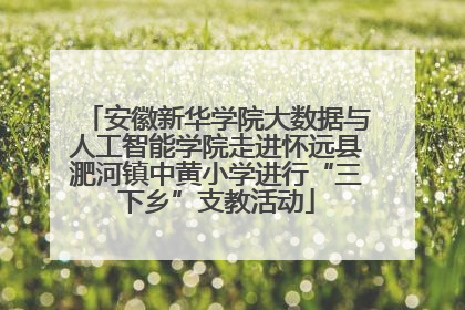 安徽新华学院大数据与人工智能学院走进怀远县淝河镇中黄小学进行“三下乡”支教活动