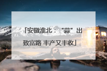 安徽淮北：“蒜”出致富路 丰产又丰收