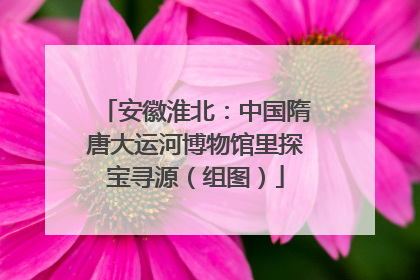 安徽淮北：中国隋唐大运河博物馆里探宝寻源（组图）