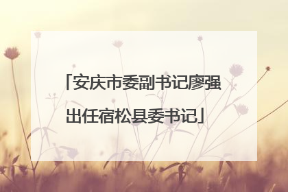 安庆市委副书记廖强出任宿松县委书记