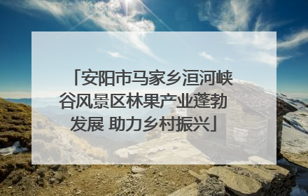 安阳市马家乡洹河峡谷风景区林果产业蓬勃发展 助力乡村振兴