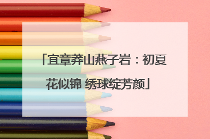 宜章莽山燕子岩：初夏花似锦 绣球绽芳颜