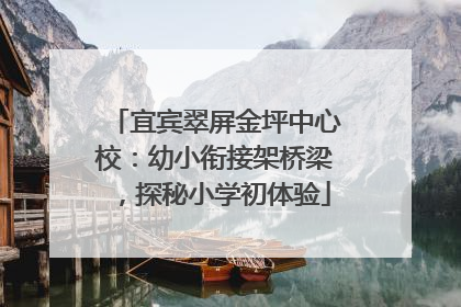 宜宾翠屏金坪中心校：幼小衔接架桥梁，探秘小学初体验