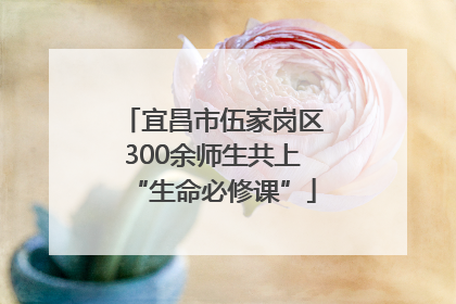 宜昌市伍家岗区300余师生共上“生命必修课”
