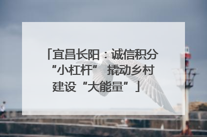 宜昌长阳：诚信积分“小杠杆” 撬动乡村建设“大能量”