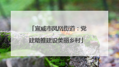 宣威市凤凰街道：党建助推建设美丽乡村