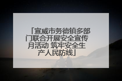 宣威市务德镇多部门联合开展安全宣传月活动 筑牢安全生产人民防线
