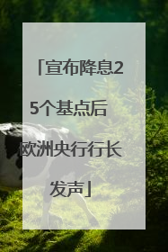 宣布降息25个基点后 欧洲央行行长发声