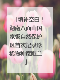 填补空白！湖南八面山国家级自然保护区首次记录珍稀物种宽距兰