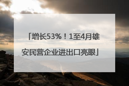 增长53%！1至4月雄安民营企业进出口亮眼