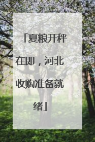 夏粮开秤在即，河北收购准备就绪