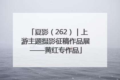 夏影（262）｜上游主题摄影征稿作品展——黄红专作品