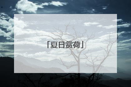 夏日赏荷