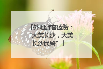 外地游客盛赞：“大美长沙，大美长沙民警”