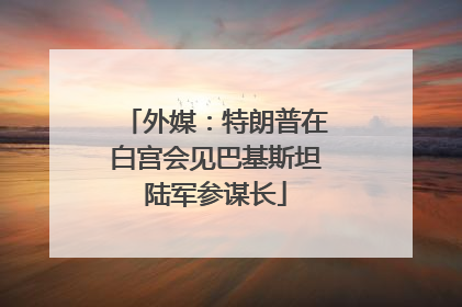 外媒：特朗普在白宫会见巴基斯坦陆军参谋长