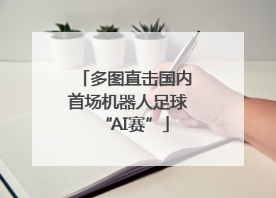 多图直击国内首场机器人足球“AI赛”