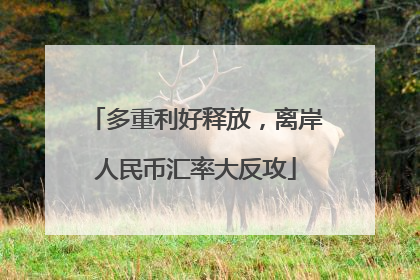 多重利好释放，离岸人民币汇率大反攻