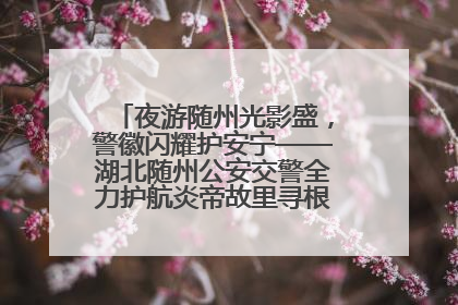 夜游随州光影盛，警徽闪耀护安宁——湖北随州公安交警全力护航炎帝故里寻根节夜游活动侧记