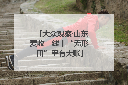 大众观察·山东麦收一线丨“无形田”里有大账