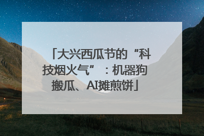 大兴西瓜节的“科技烟火气”：机器狗搬瓜、AI摊煎饼