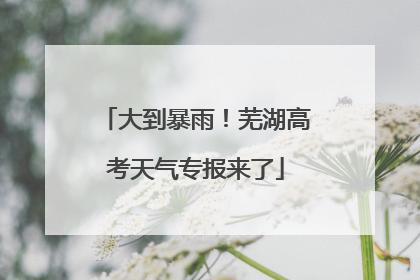 大到暴雨！芜湖高考天气专报来了