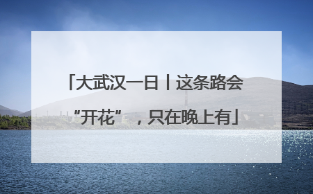 大武汉一日丨这条路会“开花”，只在晚上有