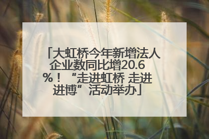 大虹桥今年新增法人企业数同比增20.6%！“走进虹桥 走进进博”活动举办