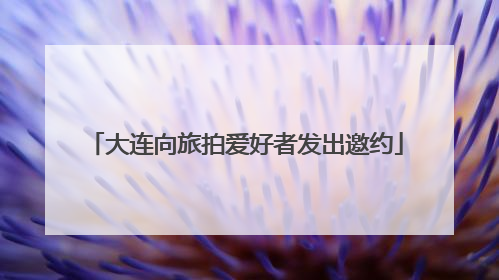 大连向旅拍爱好者发出邀约