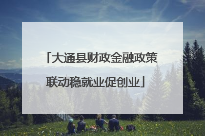 大通县财政金融政策联动稳就业促创业