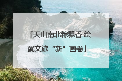 天山南北粽飘香 绘就文旅“新”画卷