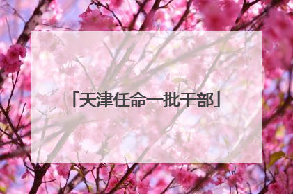 天津任命一批干部