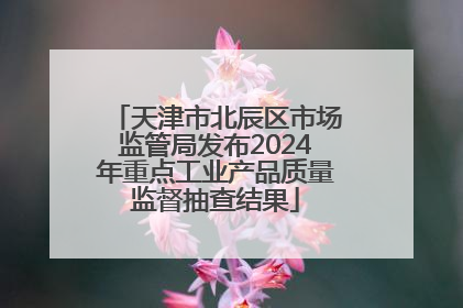 天津市北辰区市场监管局发布2024年重点工业产品质量监督抽查结果