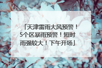 天津雷雨大风预警！5个区暴雨预警！短时雨强较大！下午开场