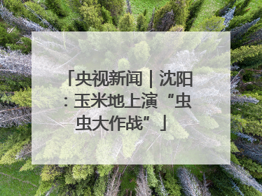 央视新闻｜沈阳：玉米地上演“虫虫大作战”