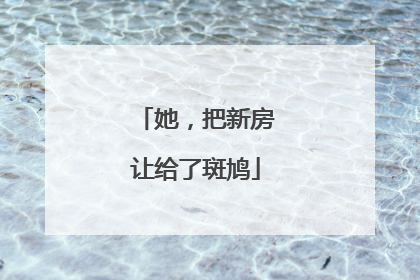 她，把新房让给了斑鸠