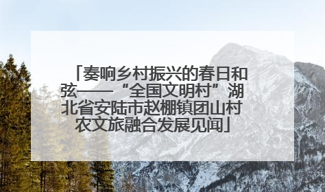 奏响乡村振兴的春日和弦——“全国文明村”湖北省安陆市赵棚镇团山村农文旅融合发展见闻