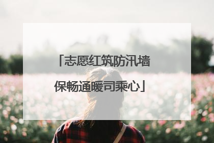 志愿红筑防汛墙 保畅通暖司乘心