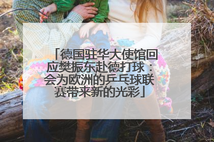 德国驻华大使馆回应樊振东赴德打球：会为欧洲的乒乓球联赛带来新的光彩