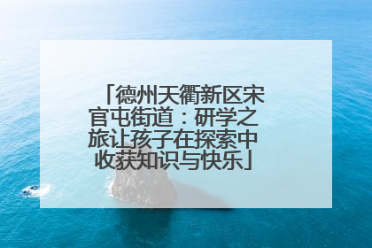 德州天衢新区宋官屯街道：研学之旅让孩子在探索中收获知识与快乐