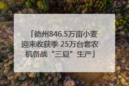 德州846.5万亩小麦迎来收获季 25万台套农机备战“三夏”生产