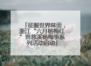 征服世界味蕾，浙江“六月杨梅红”暨慈溪杨梅季系列活动启动