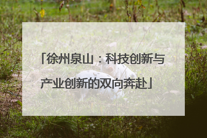 徐州泉山：科技创新与产业创新的双向奔赴