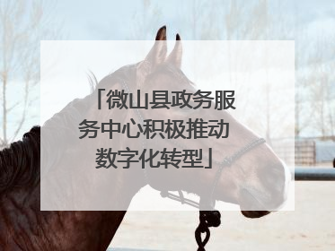 微山县政务服务中心积极推动数字化转型