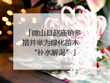 微山县赵庙镇多措并举为绿化苗木“补水解渴”
